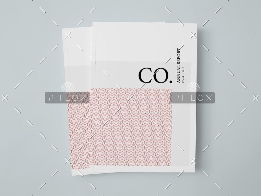 demo-attachment-216-CO.-Annual-Report-1