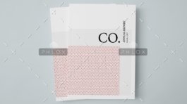 demo-attachment-216-CO.-Annual-Report-1